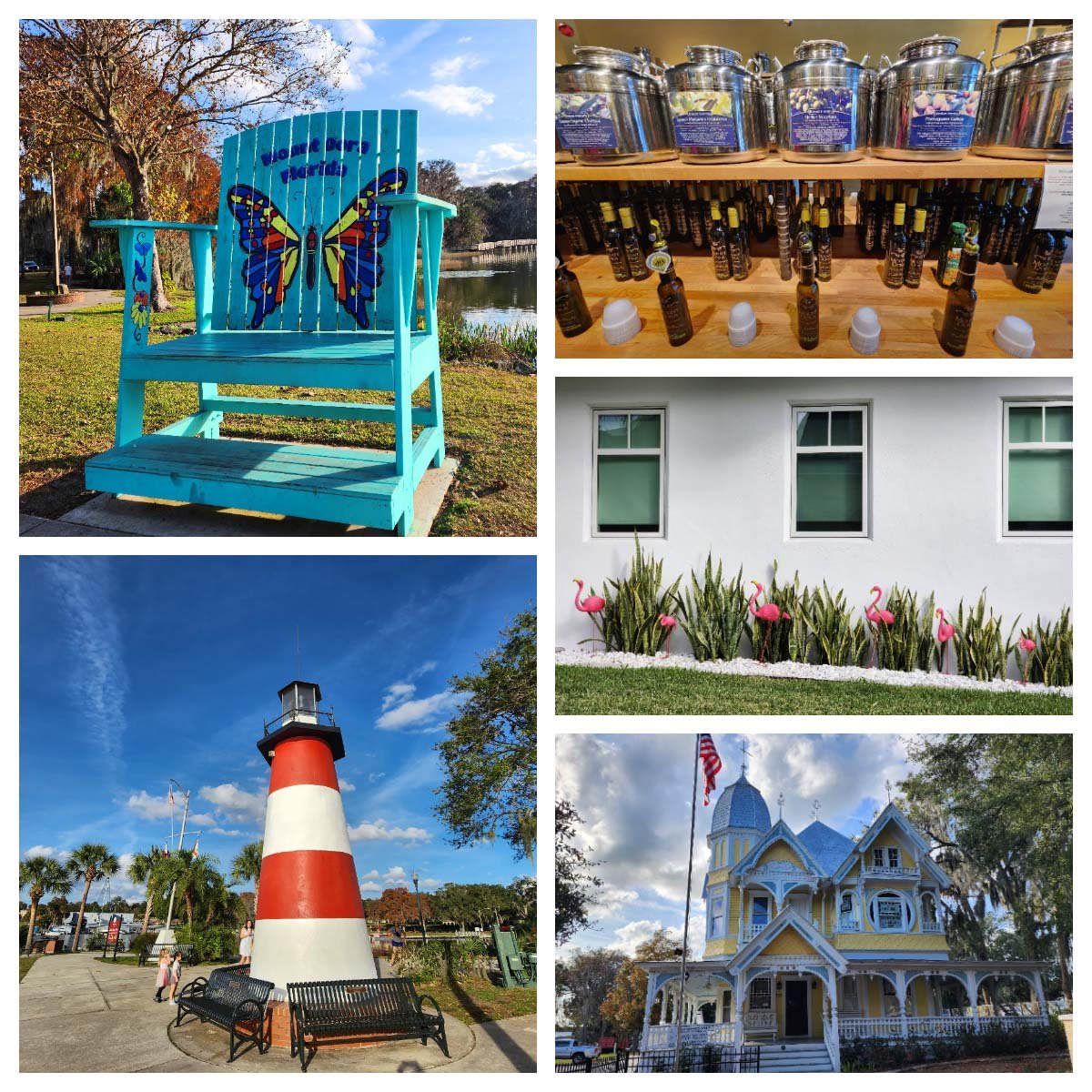 12 Programas em Orlando fora dos parques 12 Programas em Orlando fora dos parques