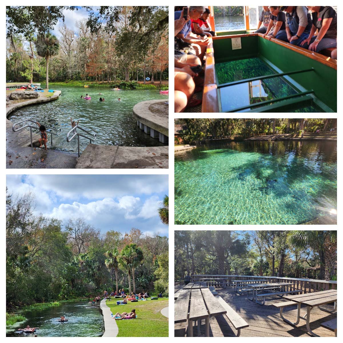 12 Programas em Orlando fora dos parques 12 Programas em Orlando fora dos parques
